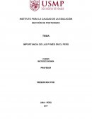 IMPORTANCIA DE LAS PYMES EN EL PERÚ
