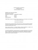 Cuales son los Valores humanos y dimensión humana