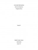 Programa Ahora Tarea # 1
