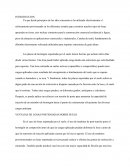 Ya que desde principios de los años cincuenta se ha utilizado efectivamente el reforzamiento post-tensado