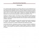 Los diversos medios por el cual se implementó la Ley de Zonas Económicas Especiales