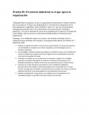 Prueba 03: El entorno industrial en el que opera la organización