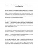 Impactos ambientales de los ingenios y tratamiento de estos en el ingenio Manuelita