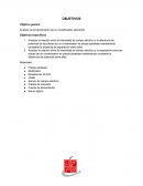 CONDENSADOR DE PLACAS PARALELAS