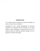 En el presente informe se hablara del microscopio compuesto, sus partes y su correcto uso en el laboratorio.