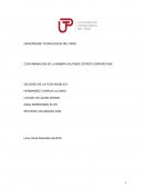 CONTAMINACION DE LA MINERA SOUTHER COPPER CORPORATION