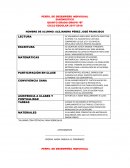 PERFIL DE DESEMPEÑO INDIVIDUAL DIAGNOSTICO