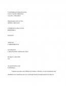 Carbohidratos clasificasión