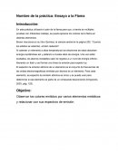 Nombre de la práctica: Ensayo a la Flama