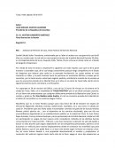 EL NUEVO MODELO DE CARTA PRESIDENCIAL