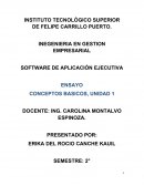 SOFTWARE DE APLICACIÓN EJECUTIVA ENSAYO CONCEPTOS BASICOS, UNIDAD 1