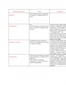 Parte del programa. Líneas. Contenido