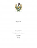 Las proteínas ¿Qué son las proteínas?