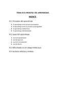 TEMA III.EL PROCESO DEL APRENDIZAJE.
