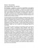 Estrategias de trading