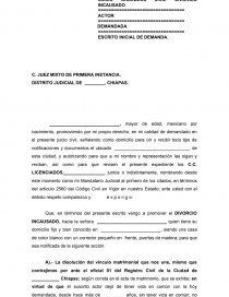 JUICIO ORDINARIO CIVIL: DIVORCIO INCAUSADO.. Página 1