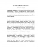 Una ciudad Que Promete Turísticamente