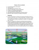 Tiempo y clima no confundir