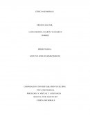 PSICOLOGIA V, VIRTUAL Y A DISTANCIA