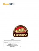 Portafolio de Título Evaluación Económica