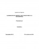 ELABORACION DE CAMPAÑA Y SPOT PUBLICITARIO A LA MICROEMPRESA