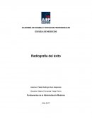 Fundamentos de la Administración Moderna Natura Cosméticos