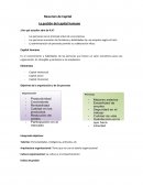 Resumen de Capital La gestión del capital humano