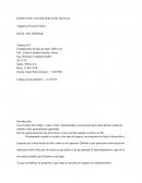 Tarea Togginos (Proyecto final)