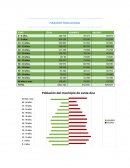 PIRAMIDE POBLACIONAL