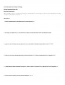 Problemas de reforzamiento de electricidad y magnetismo