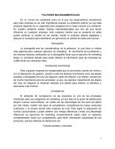 Factores Macroambientales