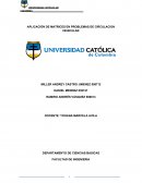 APLICACIÓN DE MATRICES EN PROBLEMAS DE CIRCULACION VEHICULAR