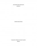 EXPLORAR PARA INVESTIGAR SEMANA 2