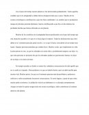 Las consecuencias del cambio