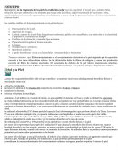 FOTOTIPO El Sol y la Piel