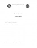 Competencia Comunicativa Evaluación Diagnostica