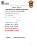 Evidencia 2 “Principios de sustentabilidad”