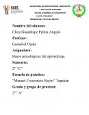 Bases psicológicas del aprendizaje