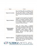Organos sociales de sociedades mercantiles