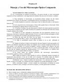 Práctica #2 Manejo y Uso del Microscopio Óptico Compuesto