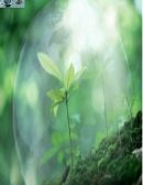 MONOGRAFÍA: “EFECTOS DEL ARSÉNICO EN LA SALUD”