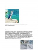 Pingüino azul adulto en una isla costera rocosa de cerca de nueva Zelanda