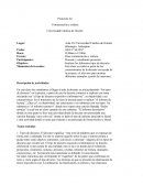 Comunicación y cultura Protocolo