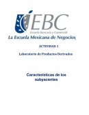 Lab. Productos derivados