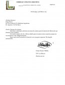 Mecanogafia Memorandum acta y resumen