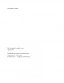 Caso práctico Quala SA