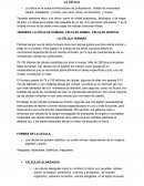 MONOGRAFIA ACERCA DE LA CELULA