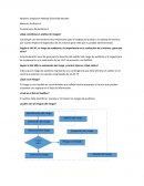 El nuevo Cuestionario de Auditoria 1