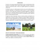 Proceso de caña de azúcar