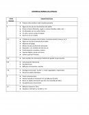 DESARROLLO NORMAL DEL LENGUAJE